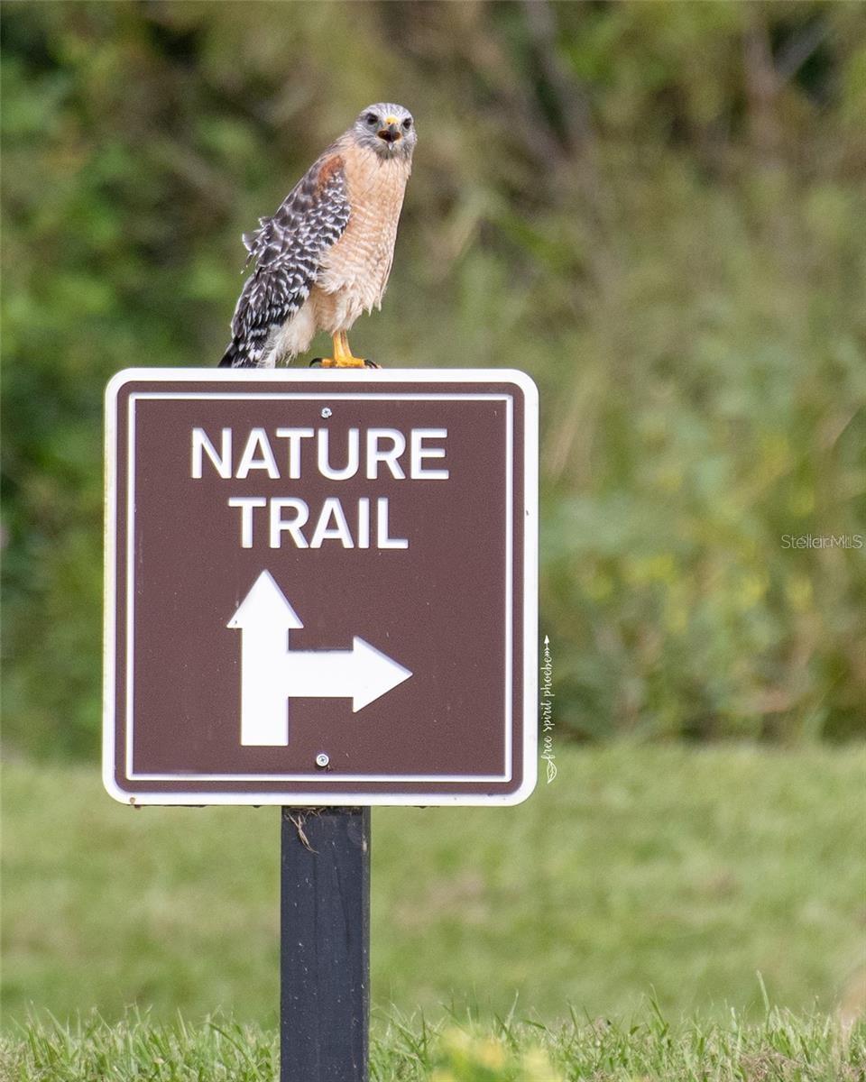 HICKORY HAMMOCK EMERALD POINTE - Residential