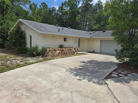 Photo of 1 Holly Court, Homosassa, FL 34446 (MLS # OM723959)