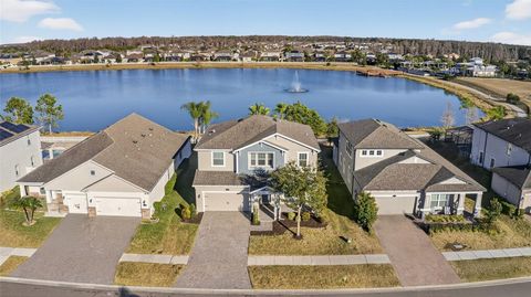 1716 NATURE VIEW DRIVE LUTZ FL 33558