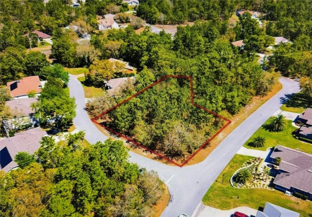 Photo of 10 Bonnie Drive, Homosassa, FL 34446 (MLS # TB8532316)