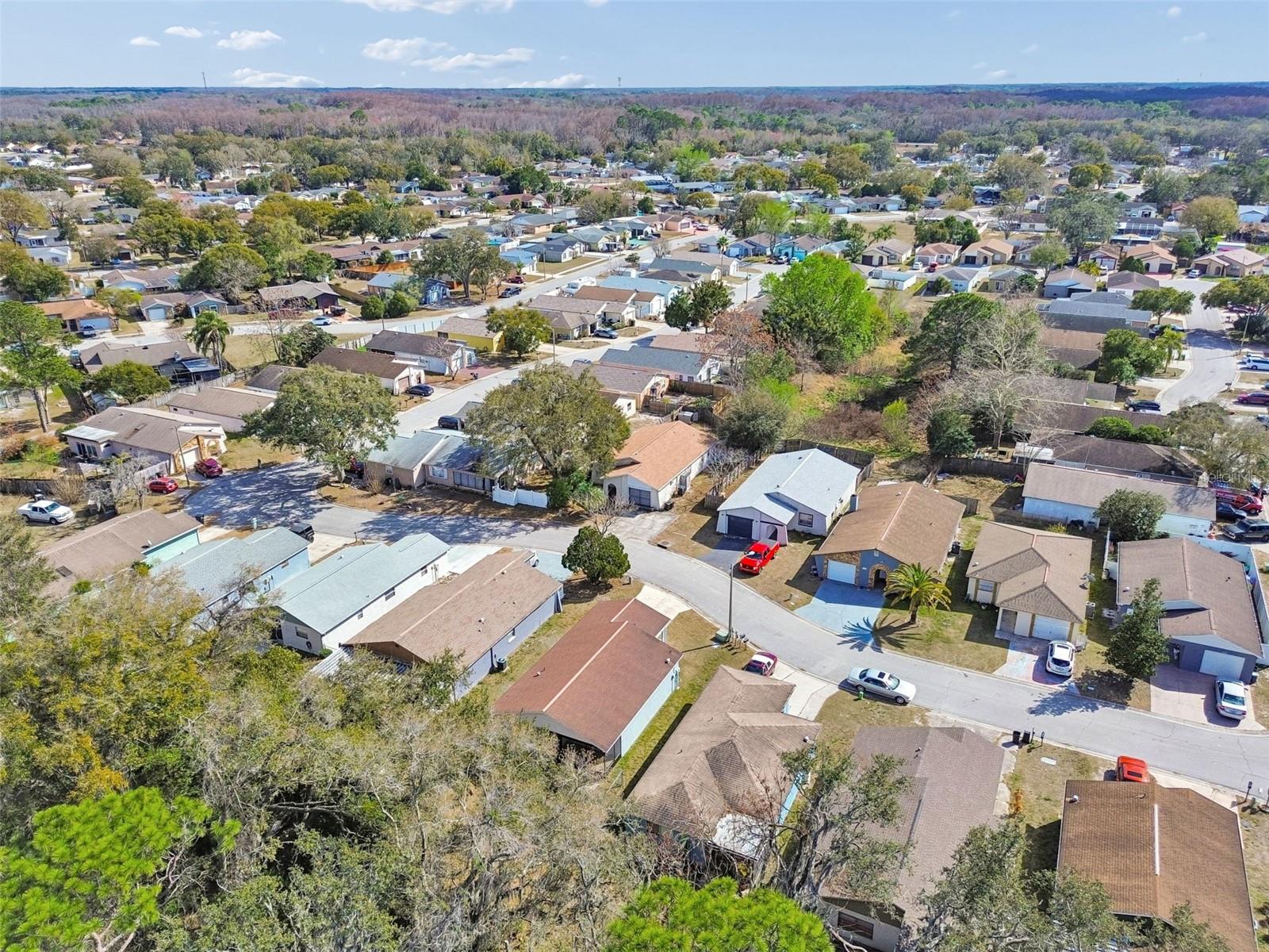 SHADOW RIDGE - Residential