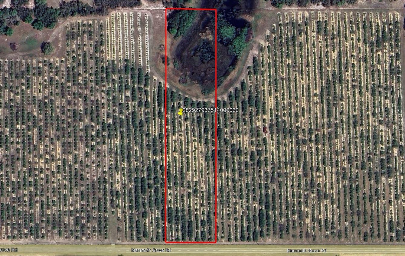 Secluded 5.7-acre homesite near Lake Wales, FL, featuring wooded areas
and ponds. Offers privacy while still being close to restaurants, shopping,
and schools. Wildlife on the property includes deer, turkey, and hogs.
