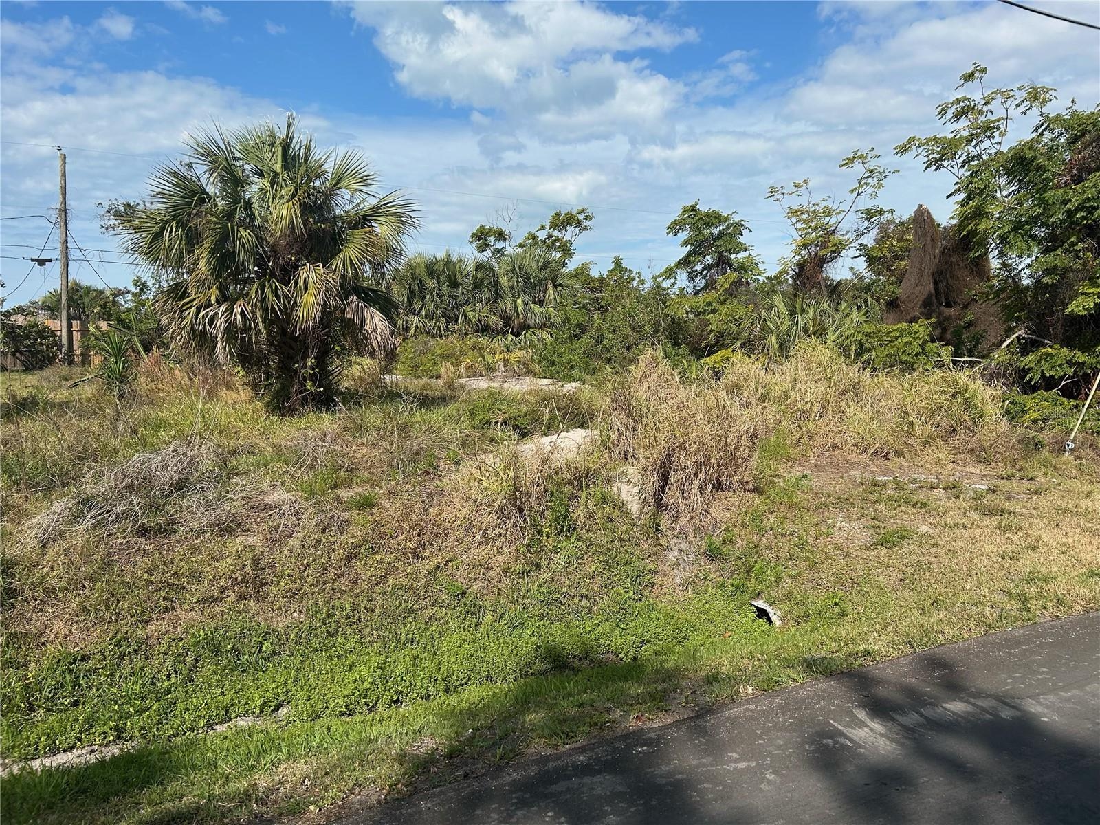 Listing image 8