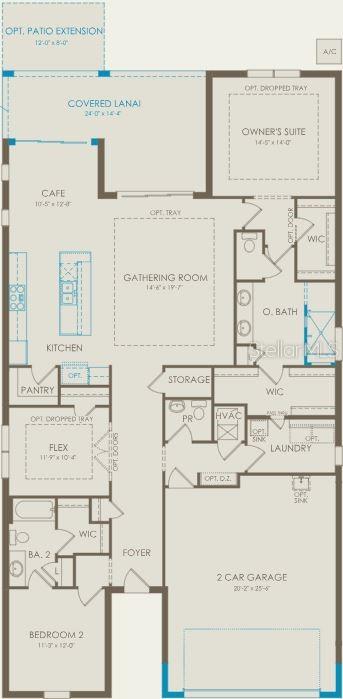1389 ZESTY CITRUS LANE
