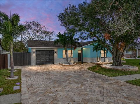 A home in PINELLAS PARK