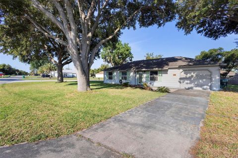 A home in DELTONA