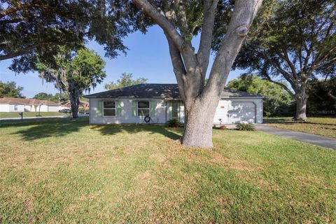 A home in DELTONA