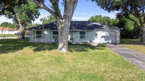 A home in DELTONA