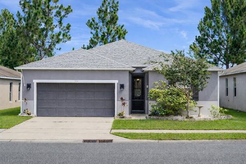 Photo of 1701 Strathmore Circle, Mount Dora, FL 32757 (MLS # O6374598)