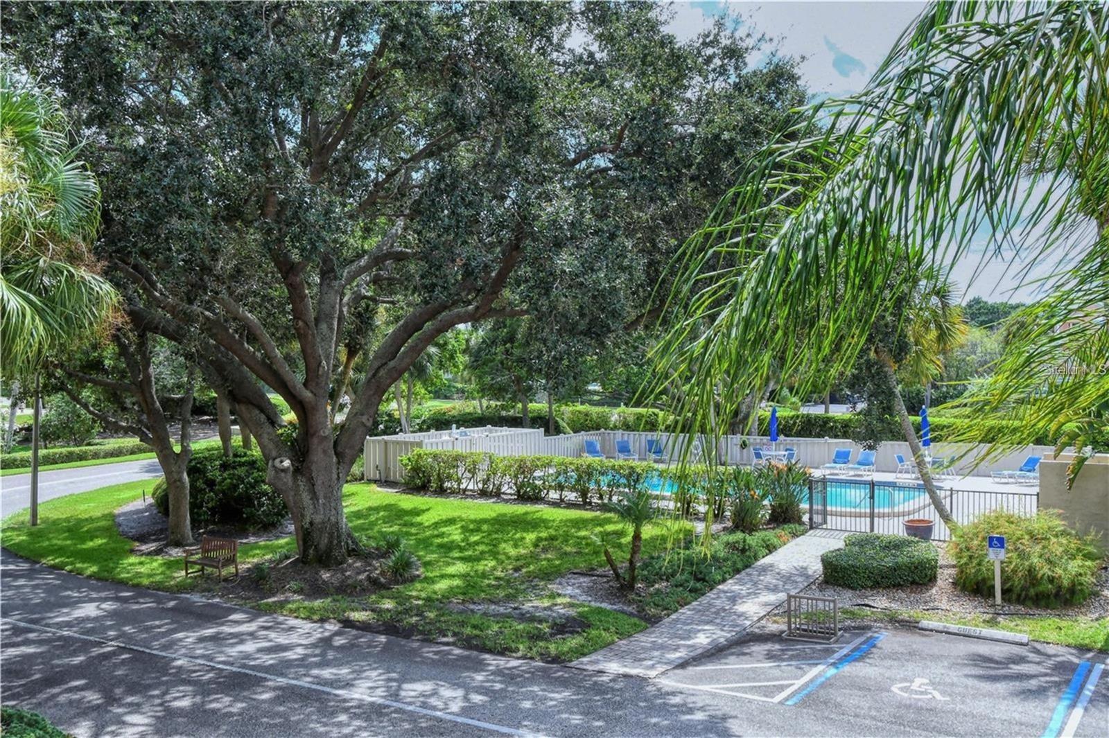 4600 GULF OF MEXICO DRIVE 202