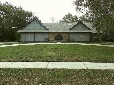 Photo of 172 WOOD HALL DRIVE, MULBERRY, FL 33860 (MLS # T3413865)