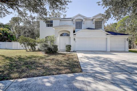 8620 BROOKWAY CIRCLE TAMPA FL 33635