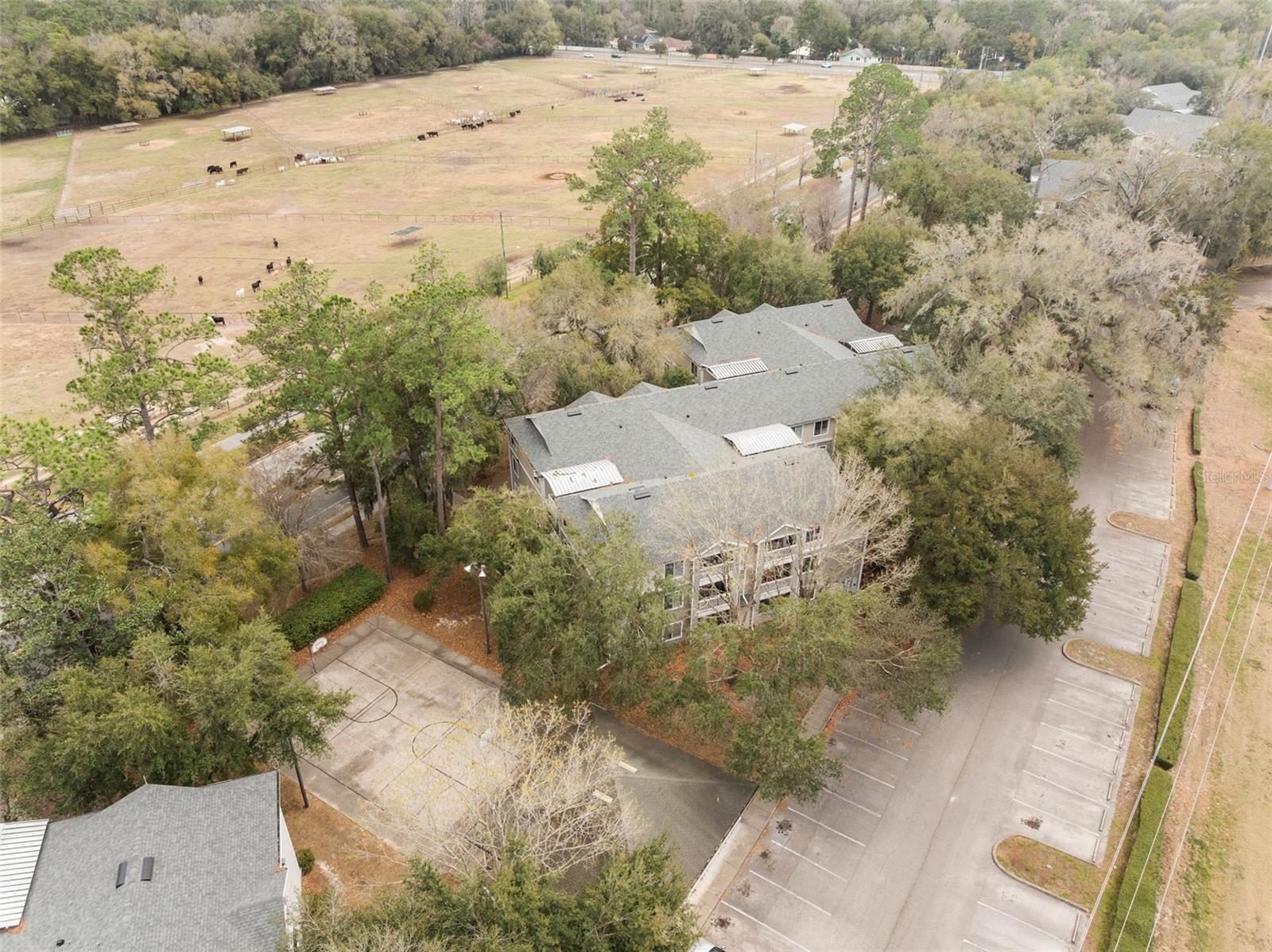 COUNTRYSIDE UNIVERSITY - Residential