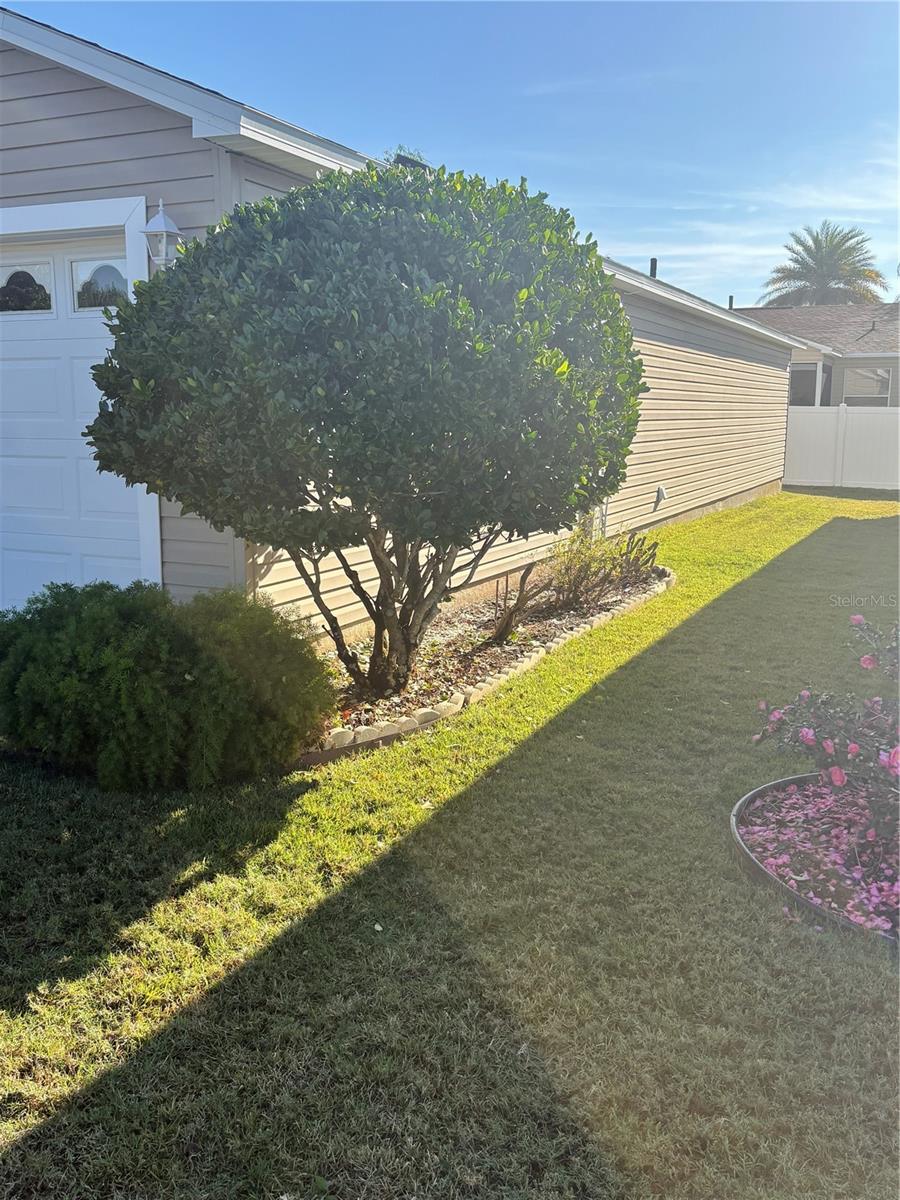 VILLAGES OF SUMTER MARGAUX VILLAS - Residential