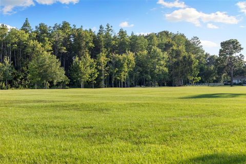 Photo of 9116 Roberts Road, Odessa, FL 33556 (MLS # TB8488812)