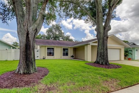 A home in PINELLAS PARK