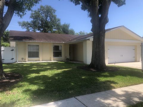6854 CIRCLECREEK DRIVE PINELLAS PARK FL 33781