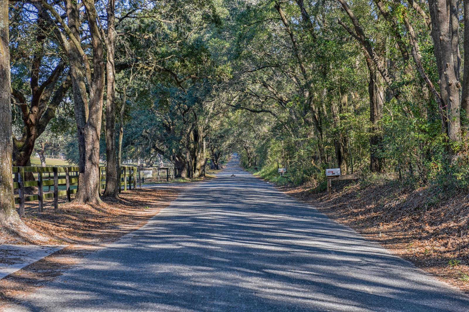 SUGAR HAMMOCK - Residential