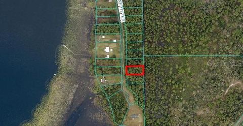 NE 117TH TERRACE FORT MC COY FL 32134