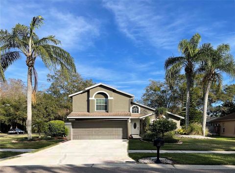 A home in PALM HARBOR