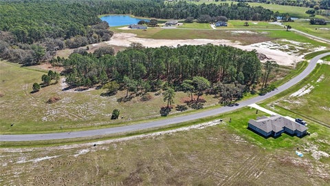 Tiny photo for 38514 Wooded Meadow Drive, Umatilla, FL 32784 (MLS # O6416083)
