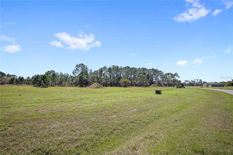 Tiny photo for 38514 Wooded Meadow Drive, Umatilla, FL 32784 (MLS # O6416083)