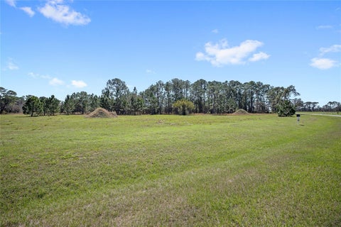 Tiny photo for 38514 Wooded Meadow Drive, Umatilla, FL 32784 (MLS # O6416083)