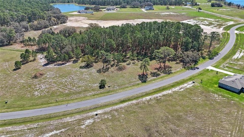 Tiny photo for 38514 Wooded Meadow Drive, Umatilla, FL 32784 (MLS # O6416083)