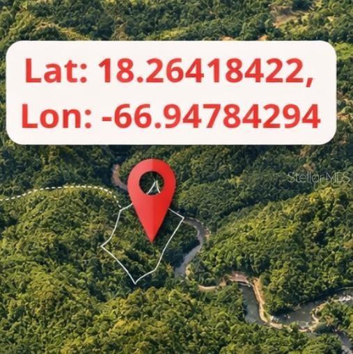 SR 370 KM 3.7 BUENA VISTA WARD