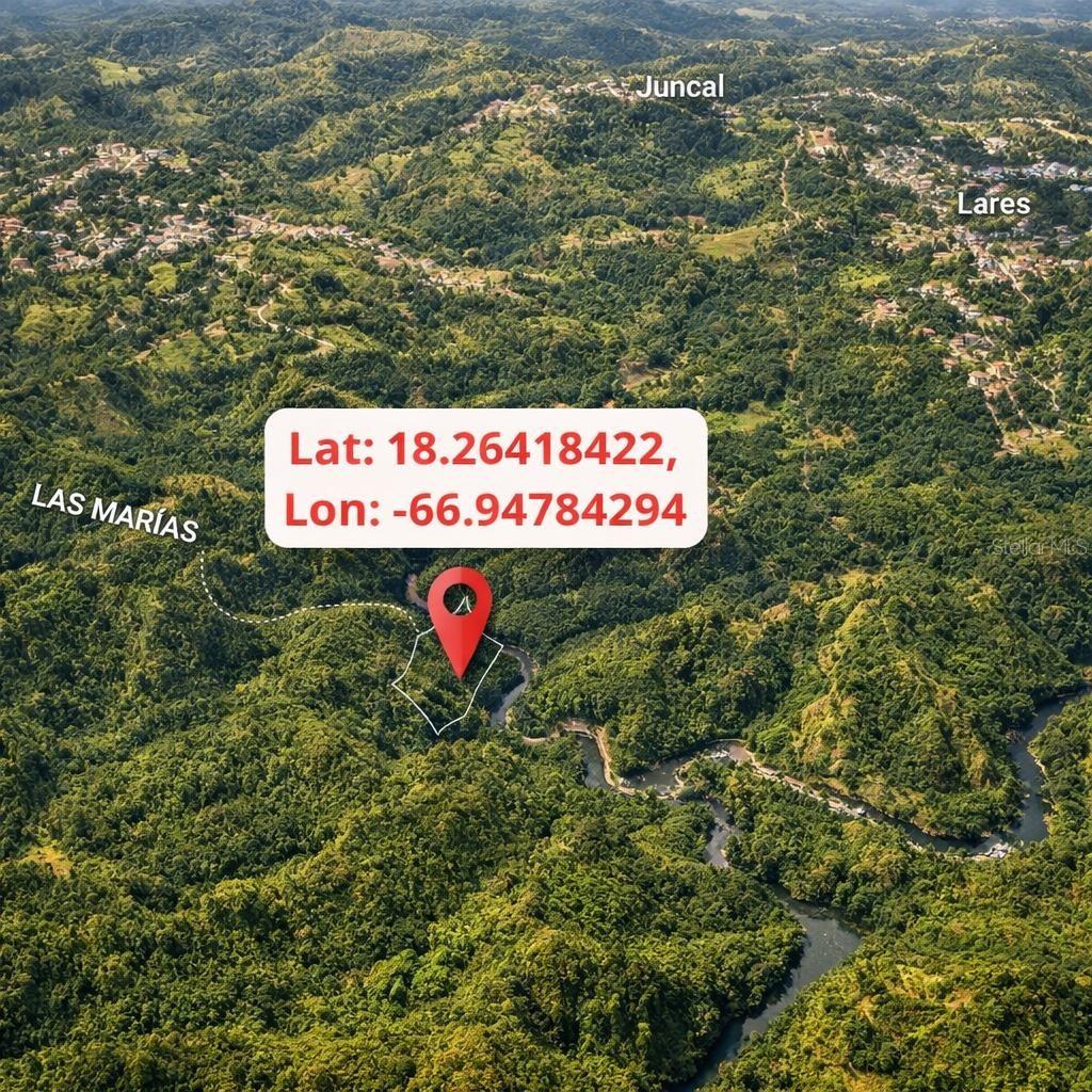 SR 370 KM 3.7 BUENA VISTA WARD