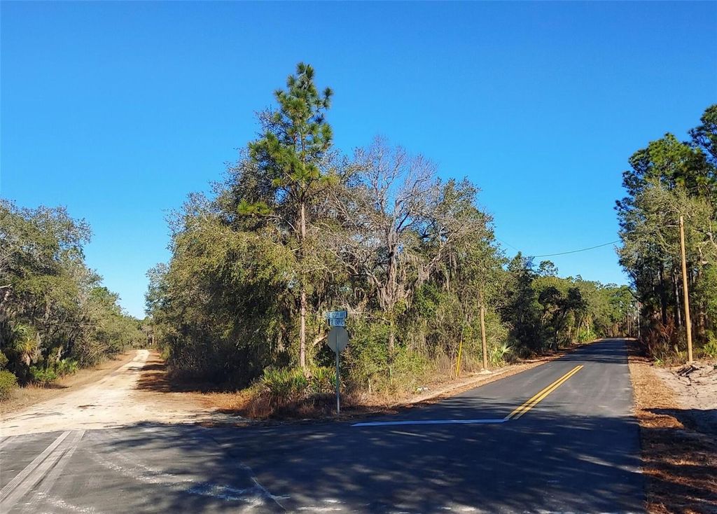 Photo of 0 SE 124th Court, Dunnellon, FL 34431 (MLS # O6388687)