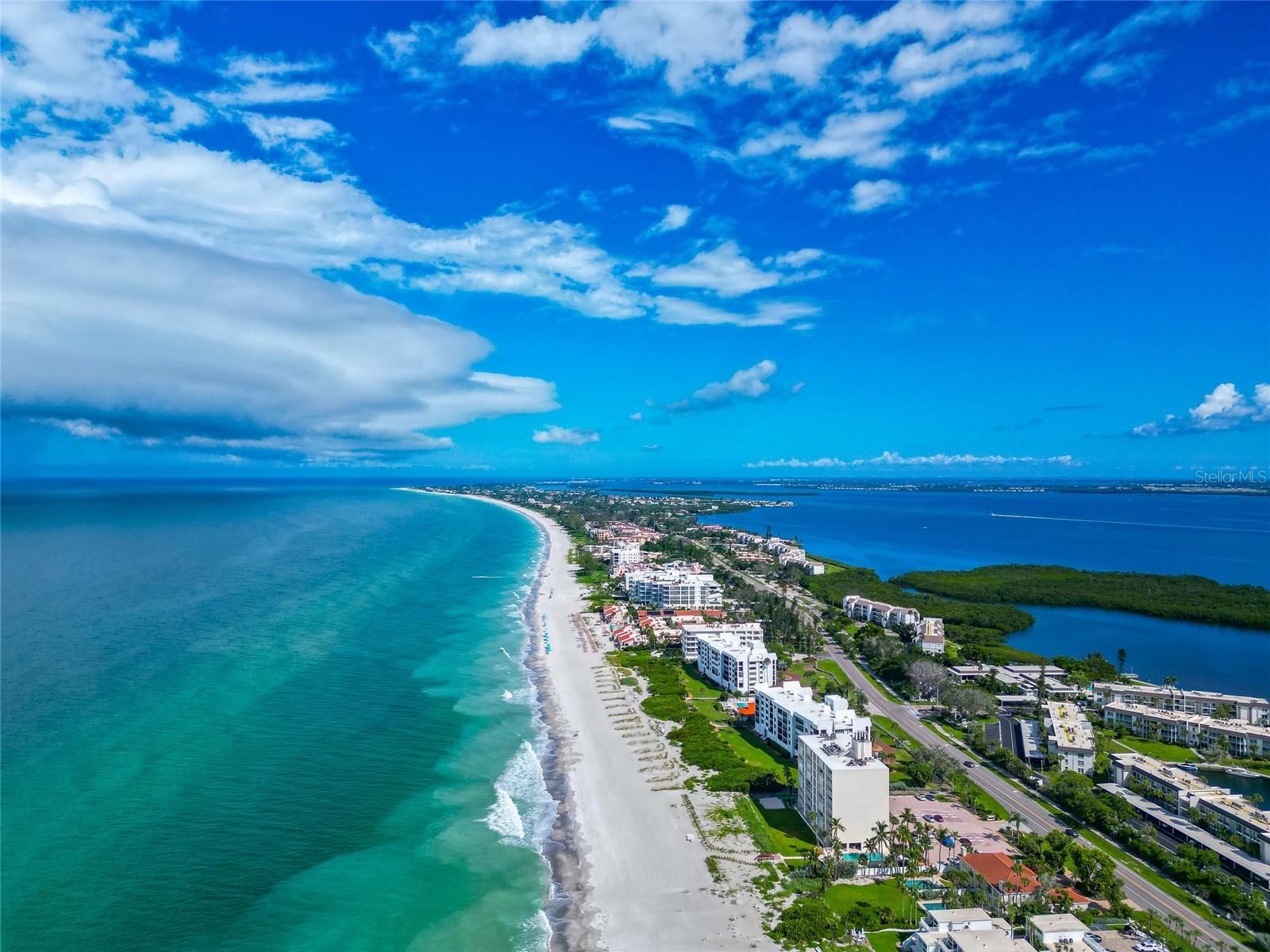 ARBOMAR - Residential