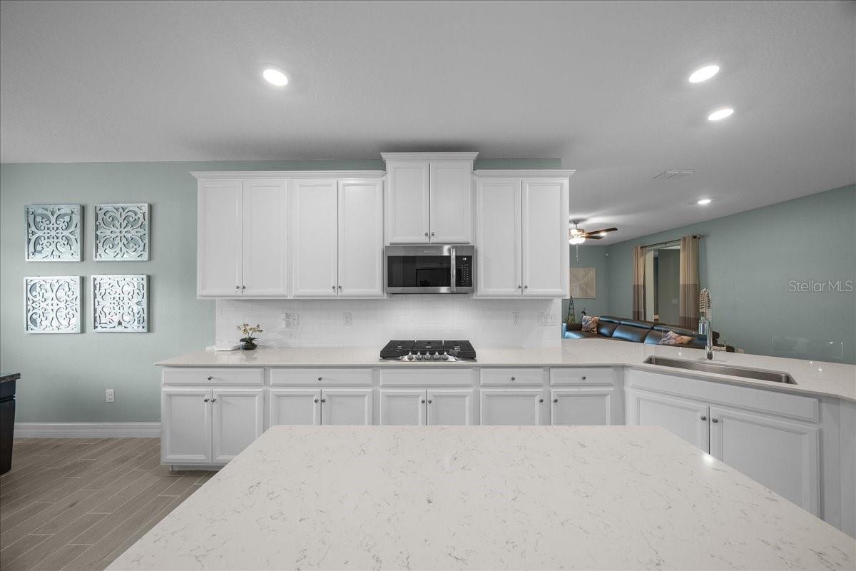 OAK HAMMOCK AT BELLECHASE - Residential