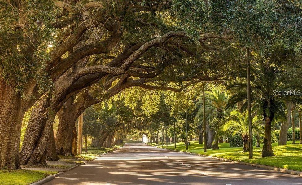 VENICE ACRES - Residential