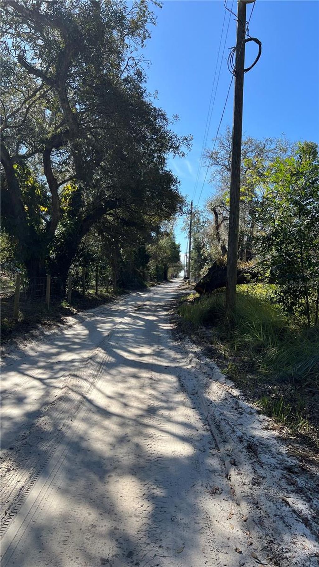 Photo of 21513 Durden Road, Dade City, FL 33523 (MLS # A4637317)