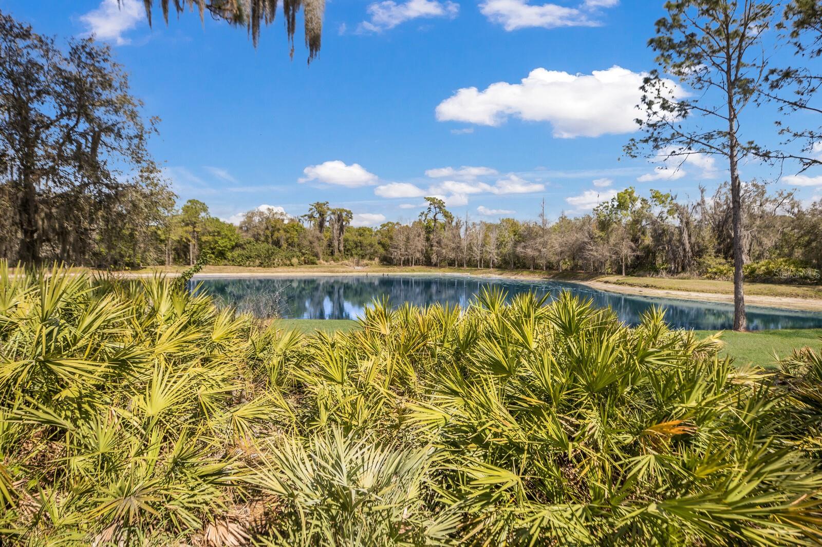 ROSEWOOD AT THE GARDENS SEC 2 - Residential