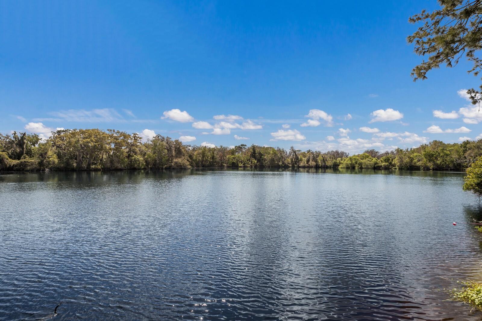 ROSEWOOD AT THE GARDENS SEC 2 - Residential