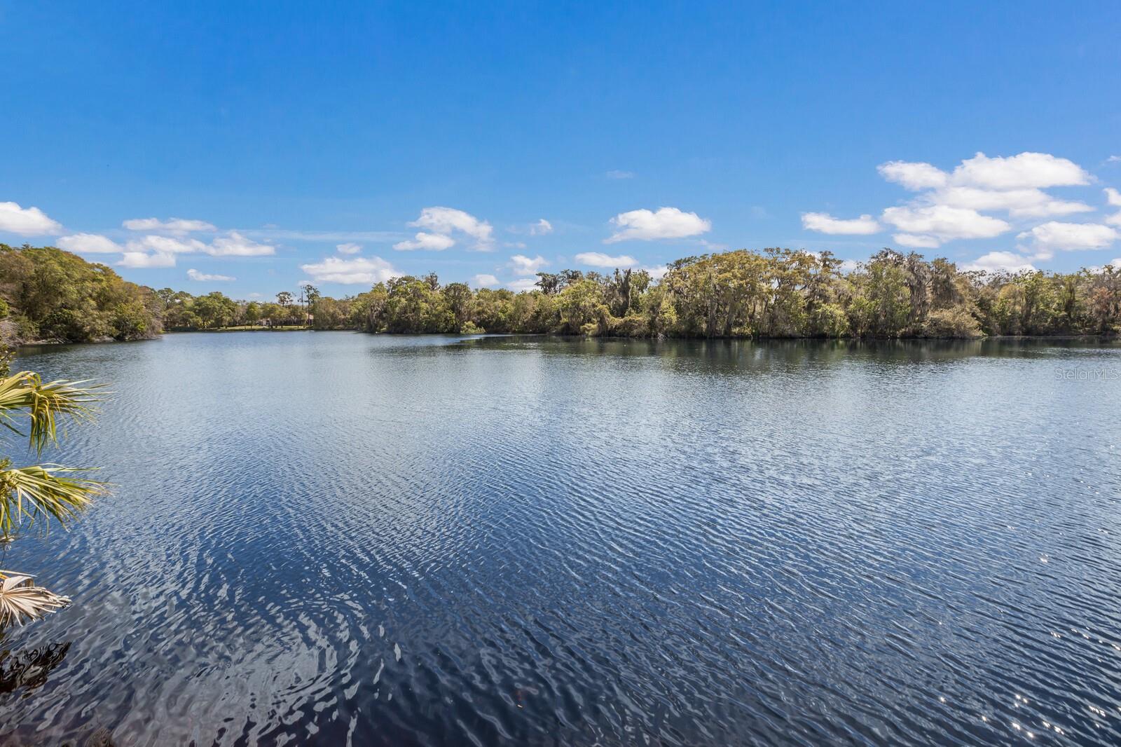 ROSEWOOD AT THE GARDENS SEC 2 - Residential
