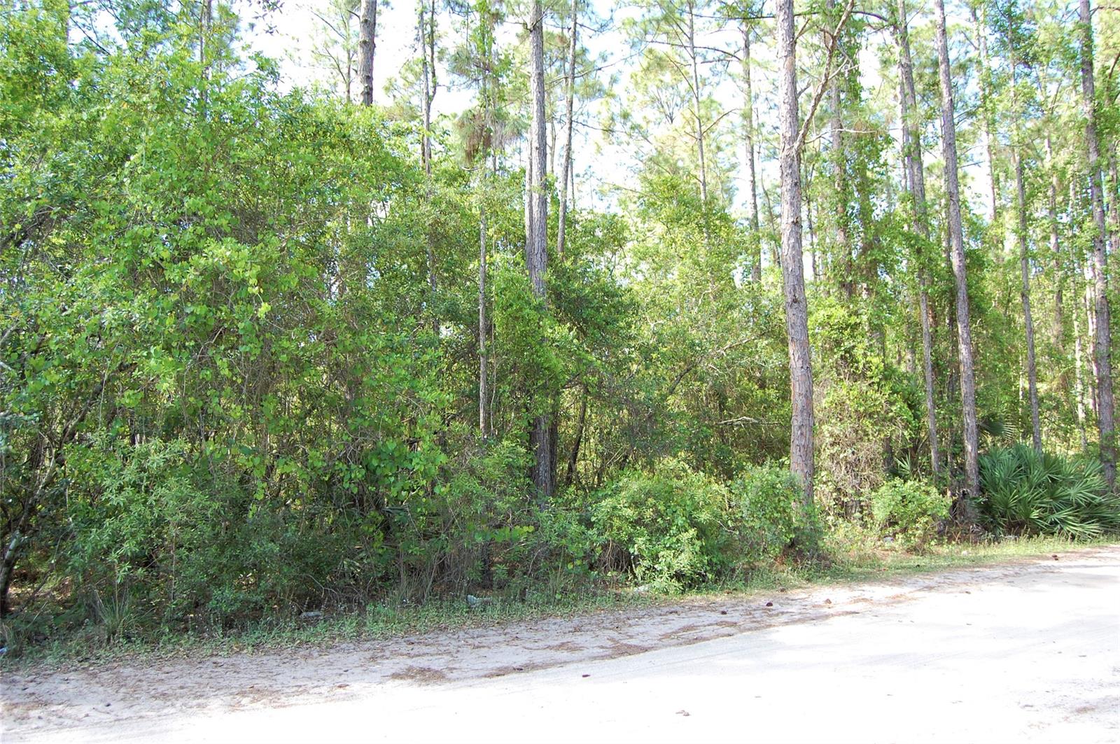 Quail Roost Ranches Unrec 202 - Land