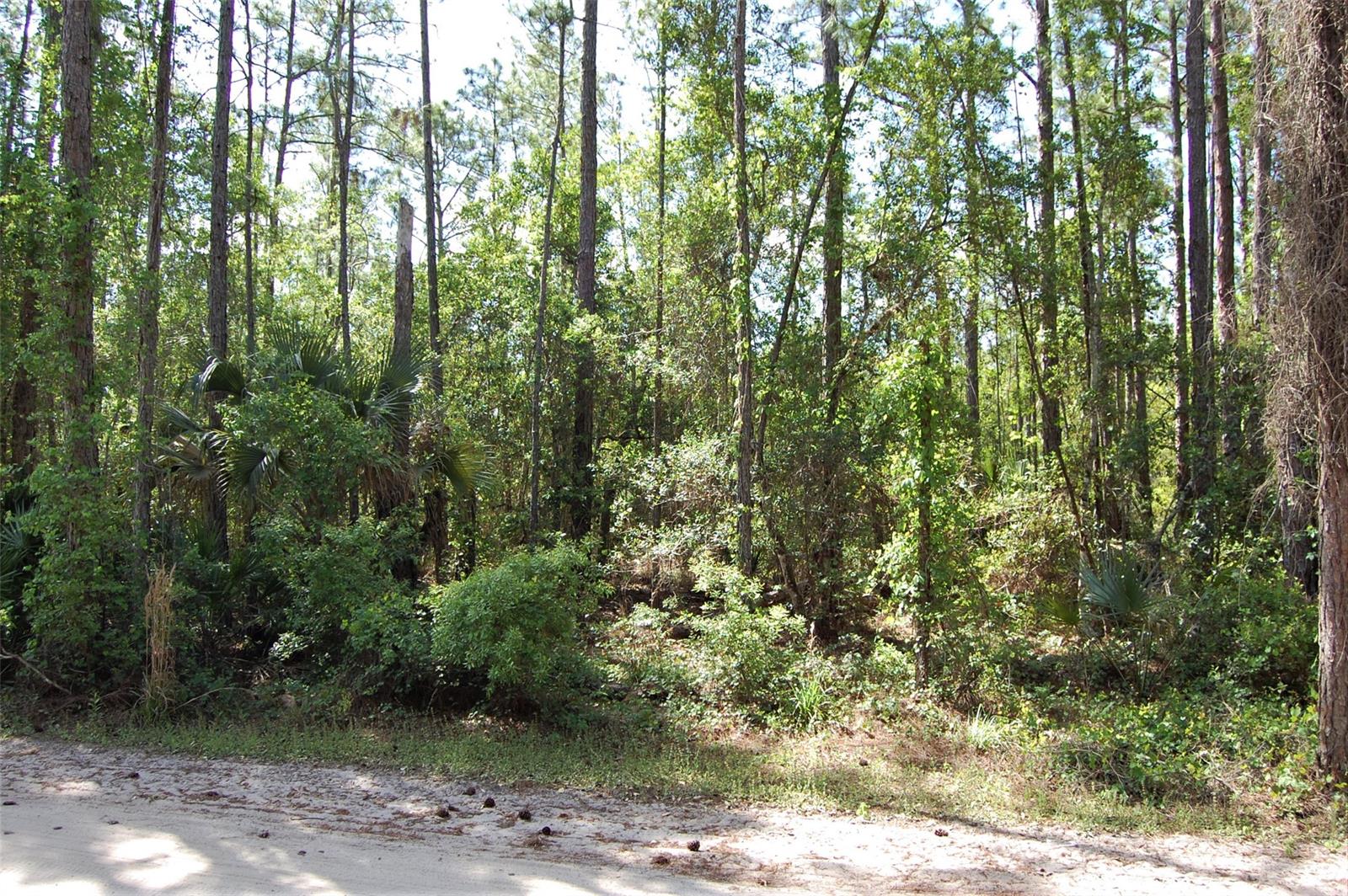 Quail Roost Ranches Unrec 202 - Land