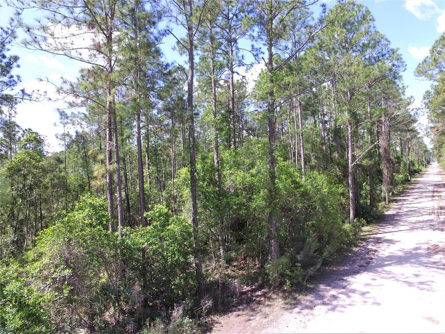 Country living with a short drive to the beach! This 2.5 acre parcel is located off of 415 in the Quail Roost Ranches area just north of Lake Ashby. This lot is high and dry with no wetlands showing on the county mapping. Pick which of the beautiful mature trees you would like to keep when you build your dream home. Horses are permitted and there is plenty of room for pole barns, detached buildings, boat and RV storage. There is no HOA and the RA zoning allows for single family site built, manufactured or modular homes. This is a great location if you commute to work in Orlando and just a 15 minute drive into New Smyrna Beach for shopping, restaurants and the beautiful beaches. Come enjoy the quiet and privacy of country living.; Cleared: No