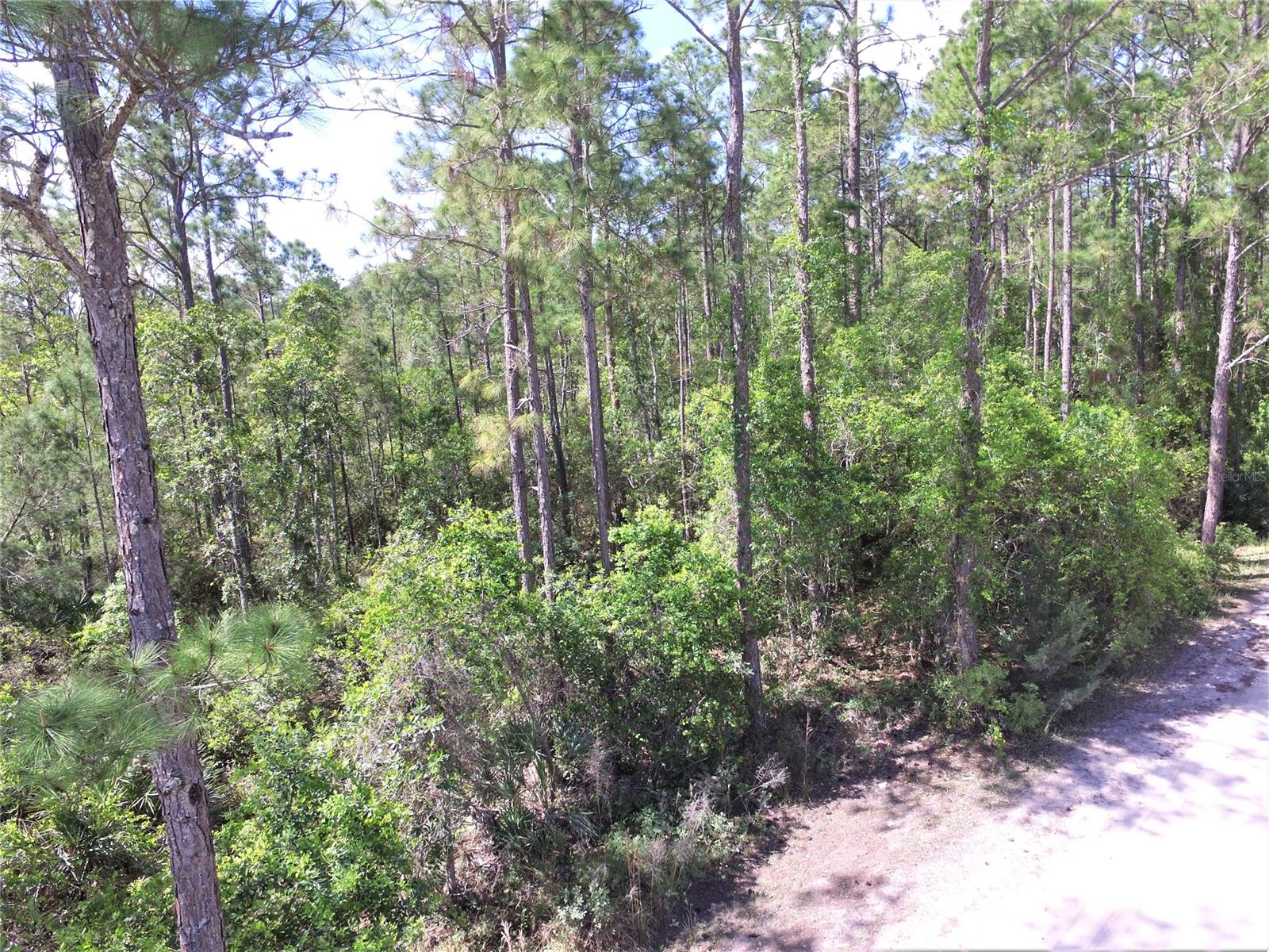 Quail Roost Ranches Unrec 202 - Land