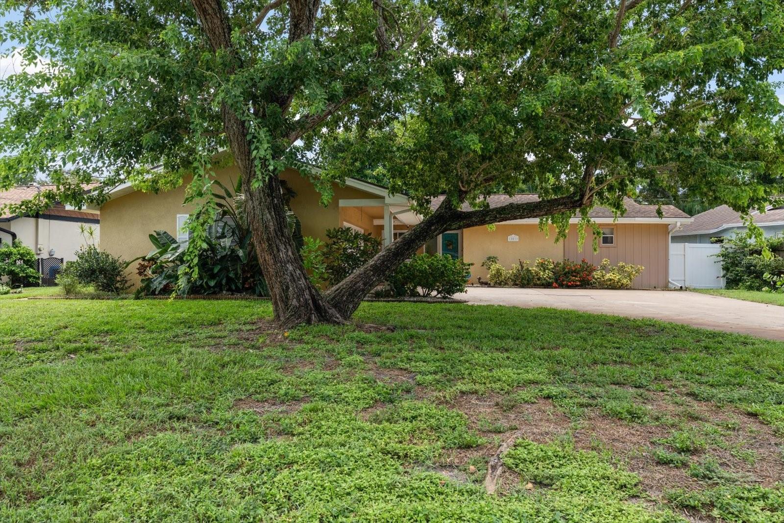 12811 LAKE DRIVE