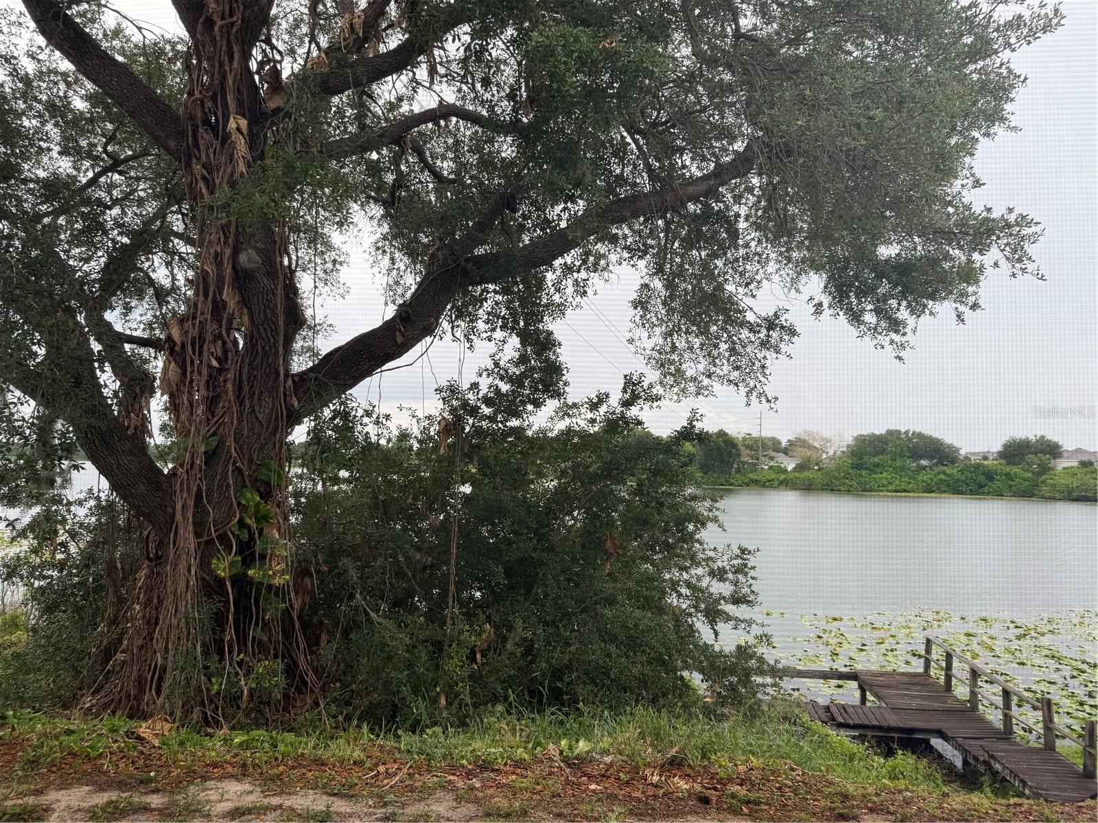 COUNTRY LAKE CONDO PH 01 - Residential