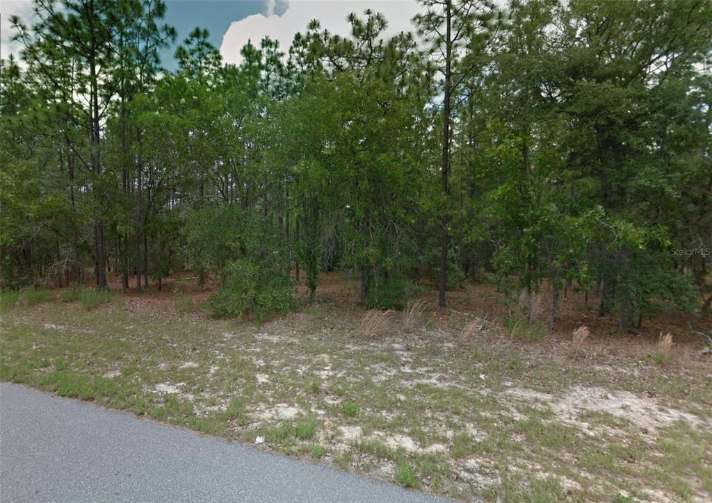 Photo of 1449 W Omaha Place, Citrus Springs, FL 34434 (MLS # OM718643)