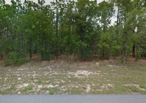 1449 W OMAHA PLACE CITRUS SPRINGS FL 34434