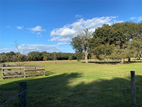 Tiny photo for 10312 County Road 209, Oxford, FL 34484 (MLS # P4923941)