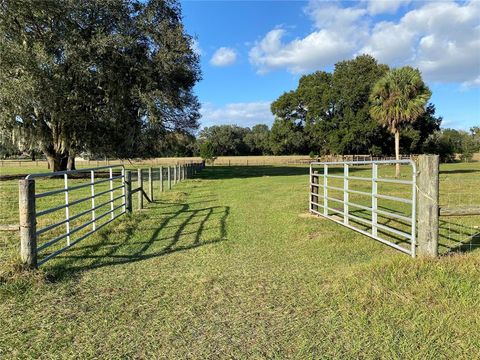 Tiny photo for 10312 County Road 209, Oxford, FL 34484 (MLS # P4923941)