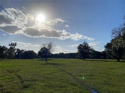Tiny photo for 10312 County Road 209, Oxford, FL 34484 (MLS # P4923941)