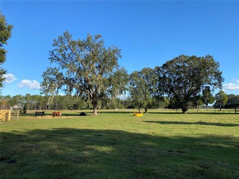 Tiny photo for 10312 County Road 209, Oxford, FL 34484 (MLS # P4923941)